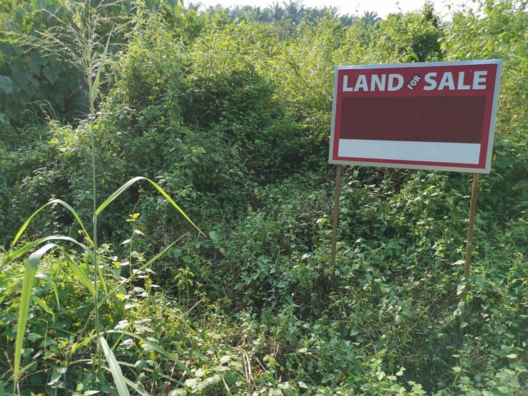 Mixed-Use Land Close to Town